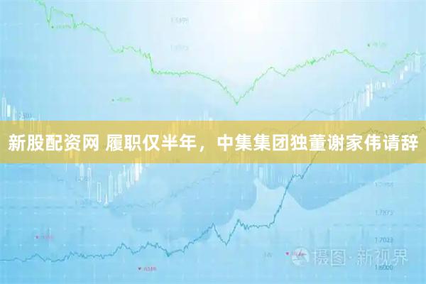 新股配资网 履职仅半年，中集集团独董谢家伟请辞